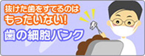 歯の細胞バンク